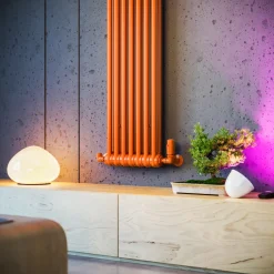 Terma Colorado Vertical 2 Column Radiator