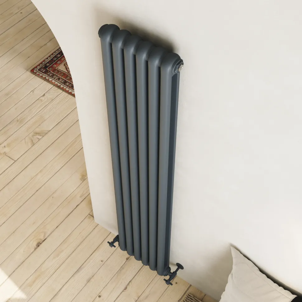 Toasty Mellow Anthracite Vertical 2 Column Radiator