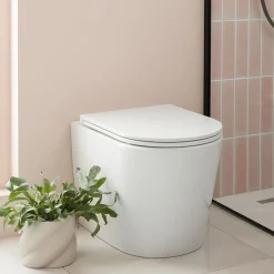 Vado Safari Round Back to Wall Toilet & Soft Close Slimline Seat