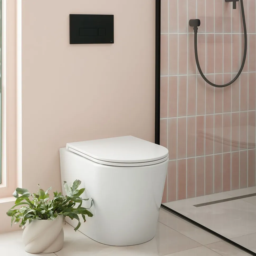 Vado Safari Round Back to Wall Toilet & Soft Close Slimline Seat